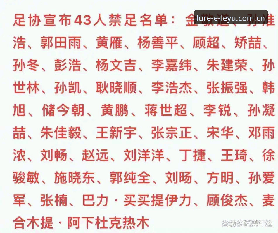 VV官网iOS版 终身禁足与五年禁足有何区别?这份足协第三批罚单该怎么看