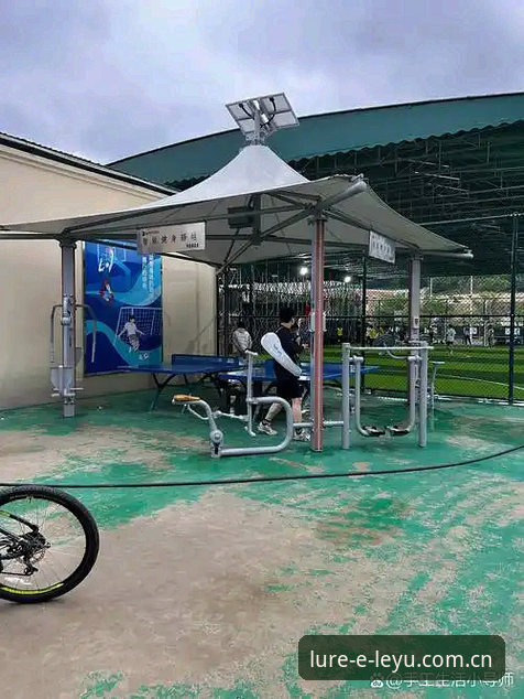 资深体育爱好者亲授乐鱼体育平台实战经验，避坑指南与核心功能必读