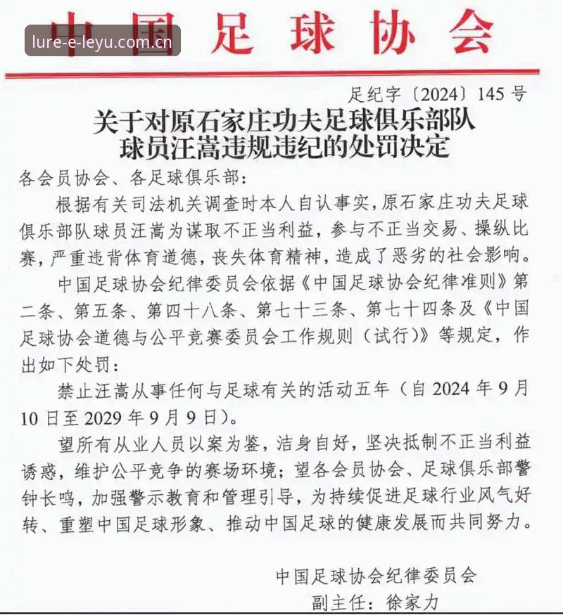 VV官网iOS版 终身禁足与五年禁足有何区别?这份足协第三批罚单该怎么看